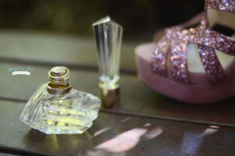 Clint-&-Zoe-Wedding---Getting-Ready-67