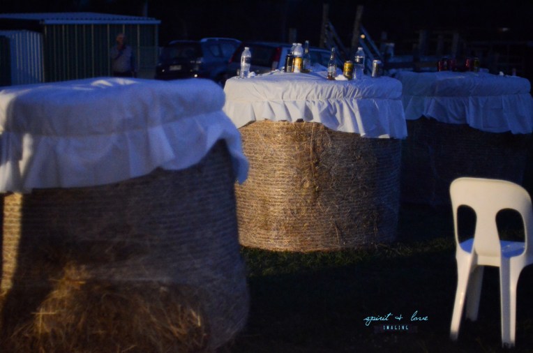 Daniel-+-Oriana's-Wedding-26th-April-2014---Reception-113