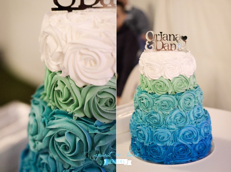 Daniel-+-Oriana's-Wedding-26th-April-2014---Reception-114