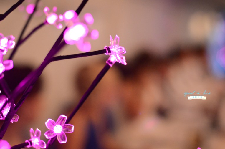 Daniel-+-Oriana's-Wedding-26th-April-2014---Reception-36