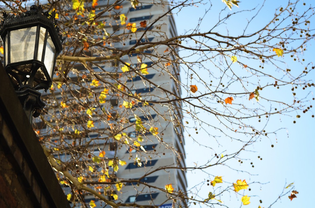 Melbourne-6-9th-June-2014-30