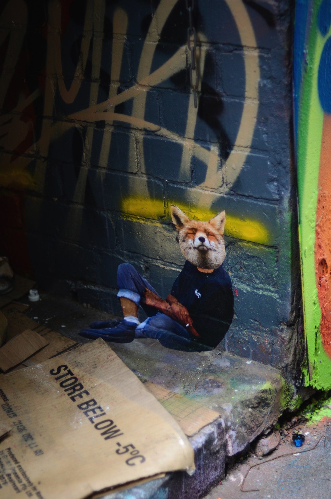 Melbourne-6-9th-June-2014-34