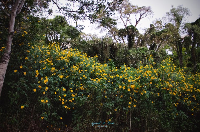 Denis-+-Ivana-Wedding-24th-May-2014---Artistic-214