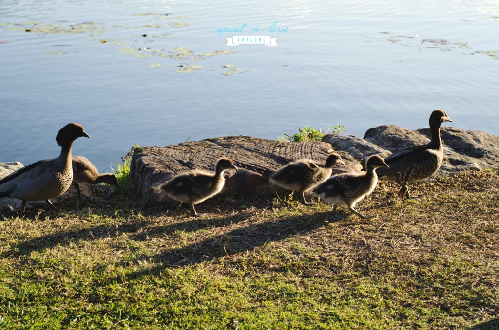 Mark-&-Sasha-Ferres-Pregnancy-Reveal-15