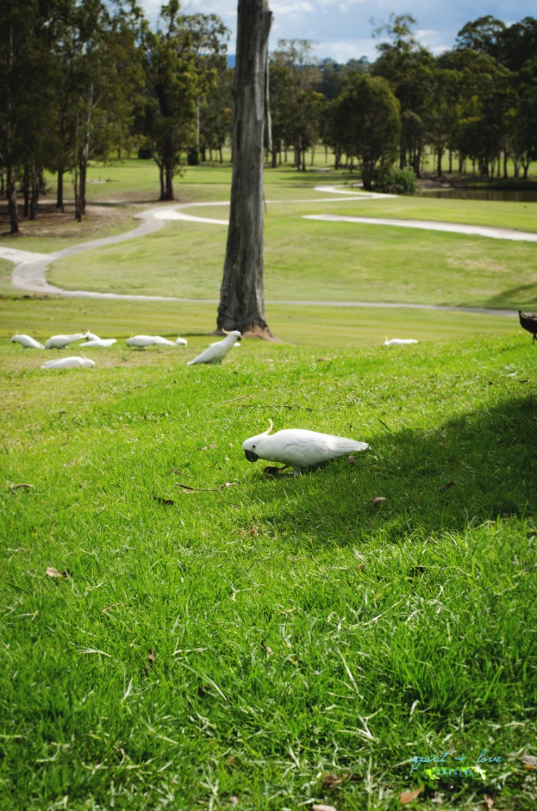 Aydian-+-Tanita---Artistic-120