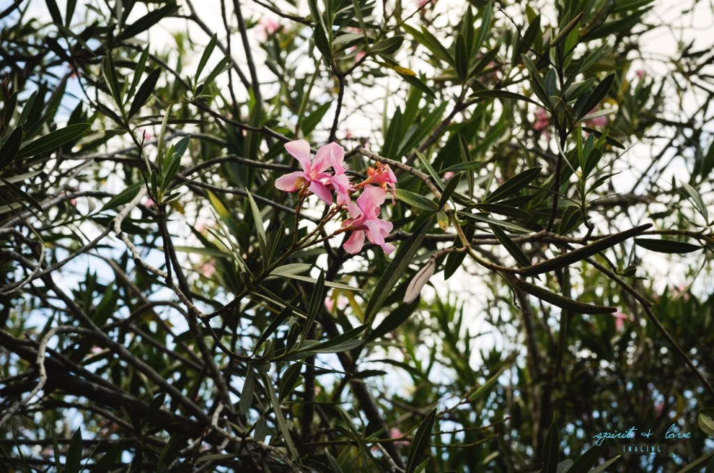 Peter-+-Lisa's-Engagement-Shoot-60