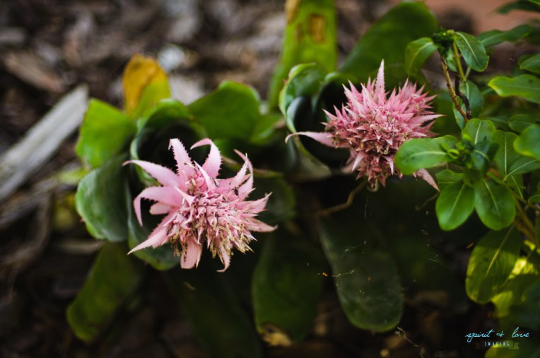 Peter-+-Lisa's-Engagement-Party-211