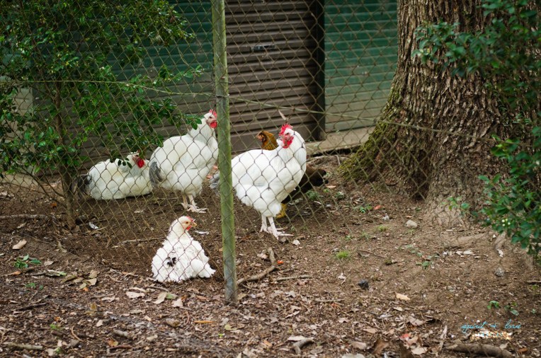 Maxine's-Portfolio_-45