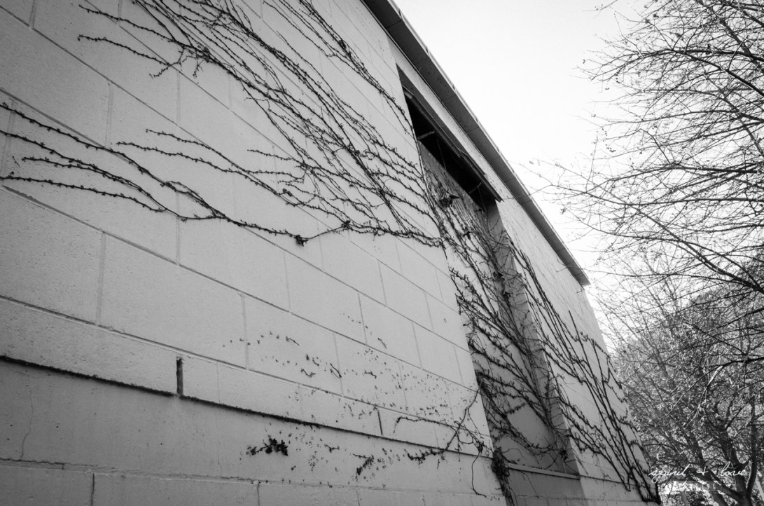 BWQueenstown-New-Zealand-2015-3