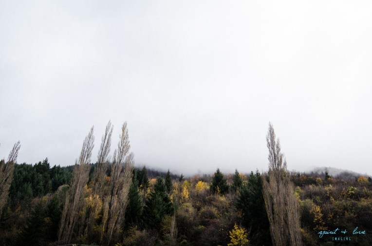 Queenstown-New-Zealand-2015-122