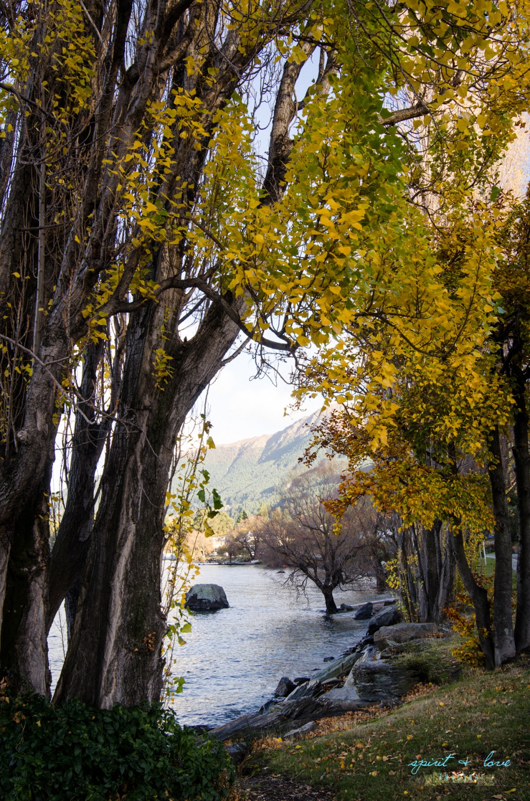 Queenstown-New-Zealand-2015-13