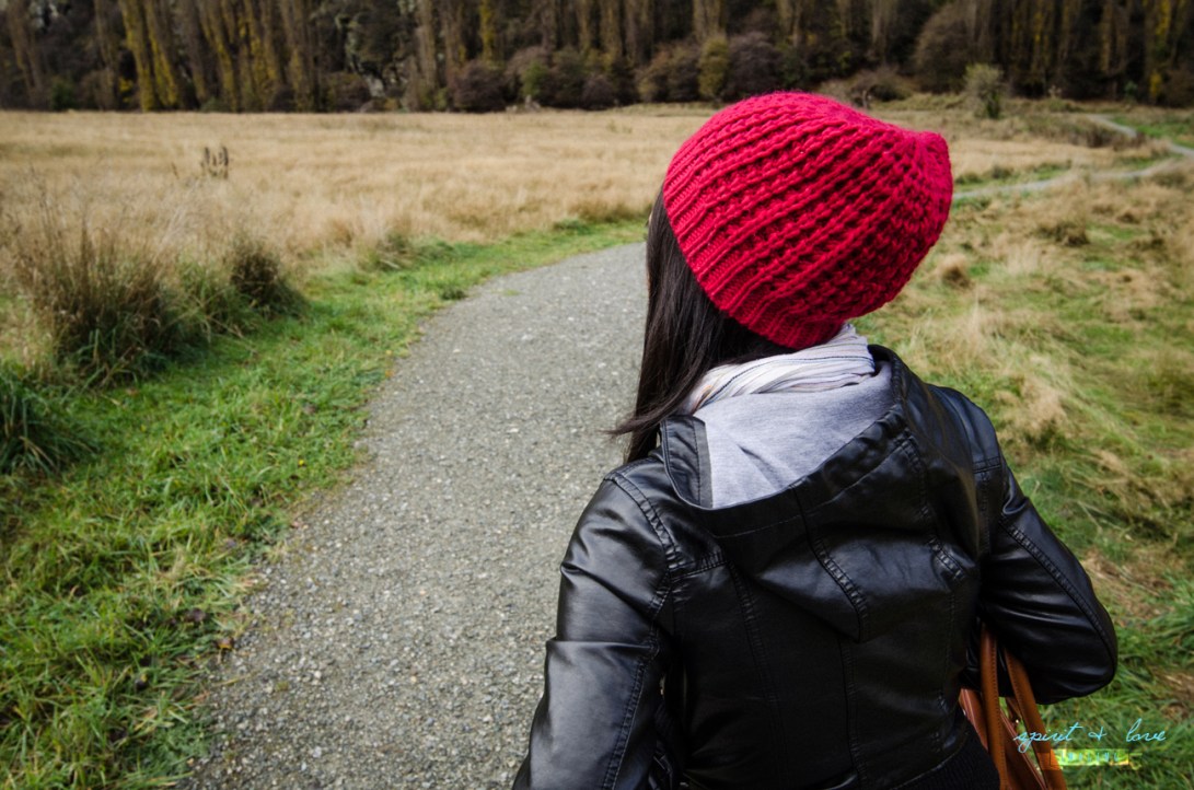 Queenstown-New-Zealand-2015-130