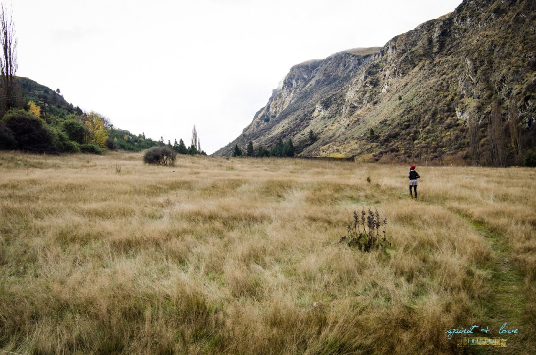 Queenstown-New-Zealand-2015-138