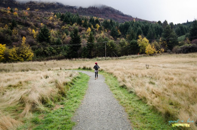 Queenstown-New-Zealand-2015-146