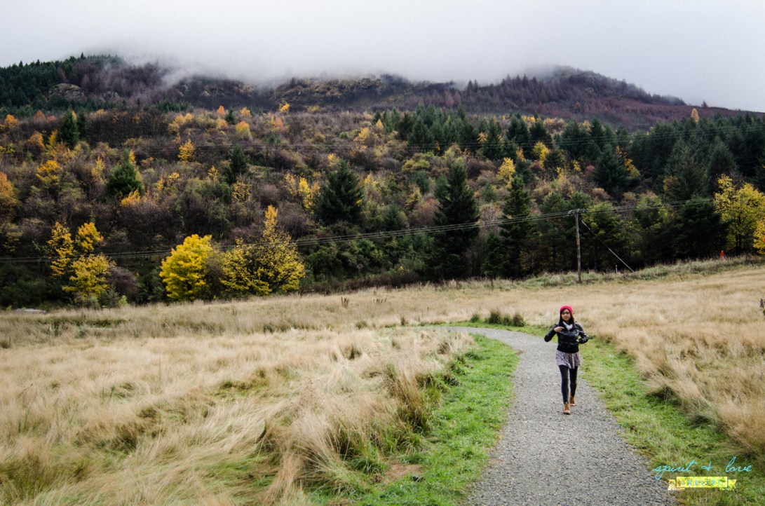 Queenstown-New-Zealand-2015-148