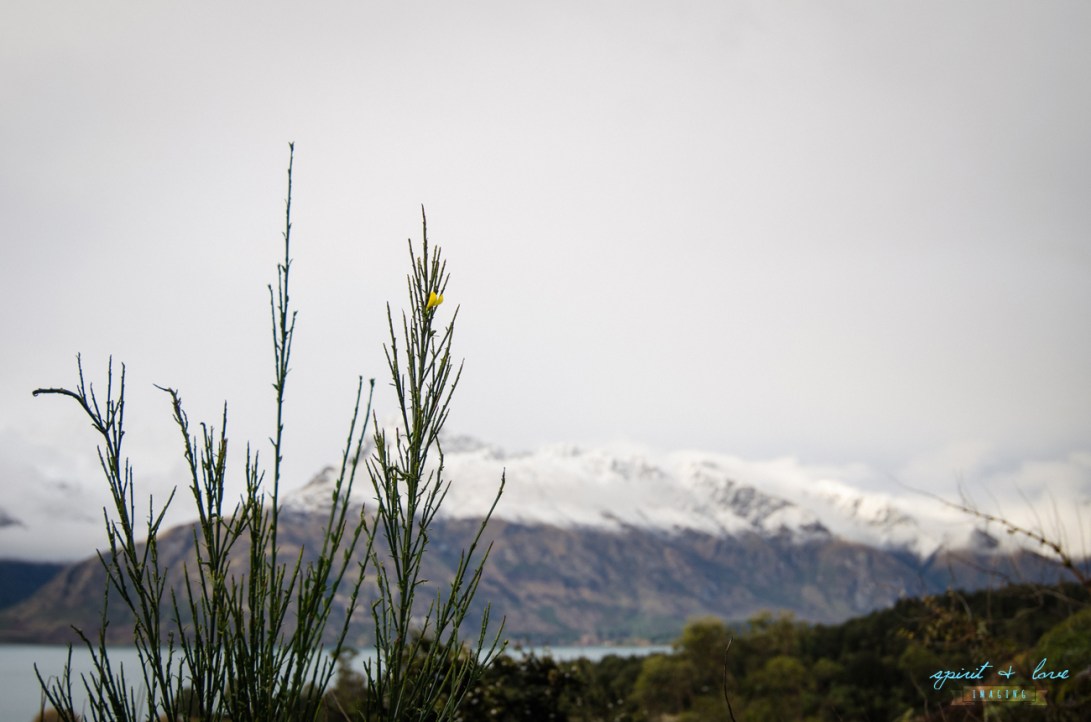 Queenstown-New-Zealand-2015-212