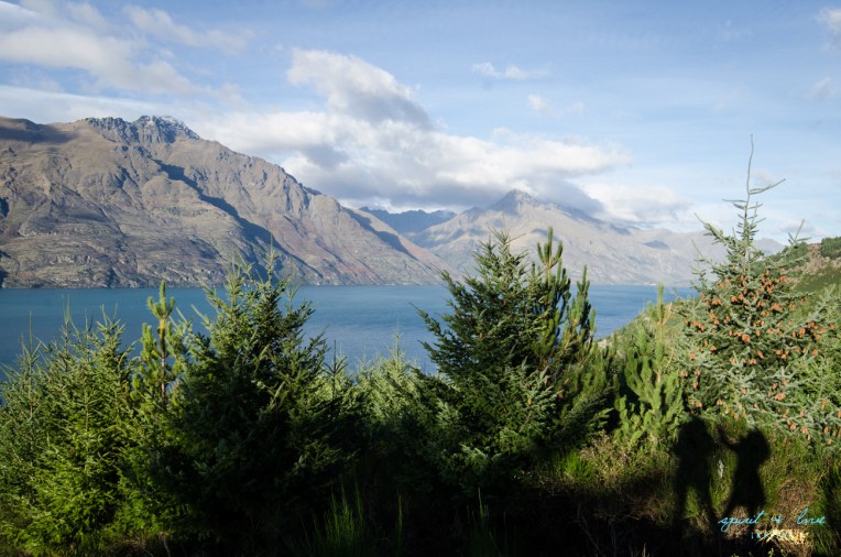 Queenstown-New-Zealand-2015-30