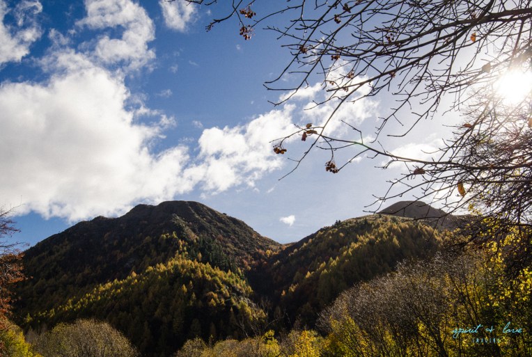 Queenstown-New-Zealand-2015-45