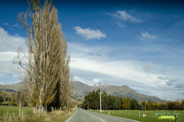 Queenstown-New-Zealand-2015-52