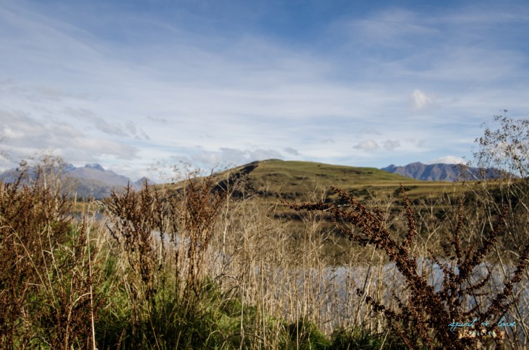 Queenstown-New-Zealand-2015-54