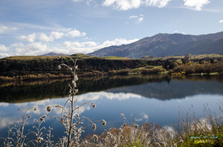 Queenstown-New-Zealand-2015-58