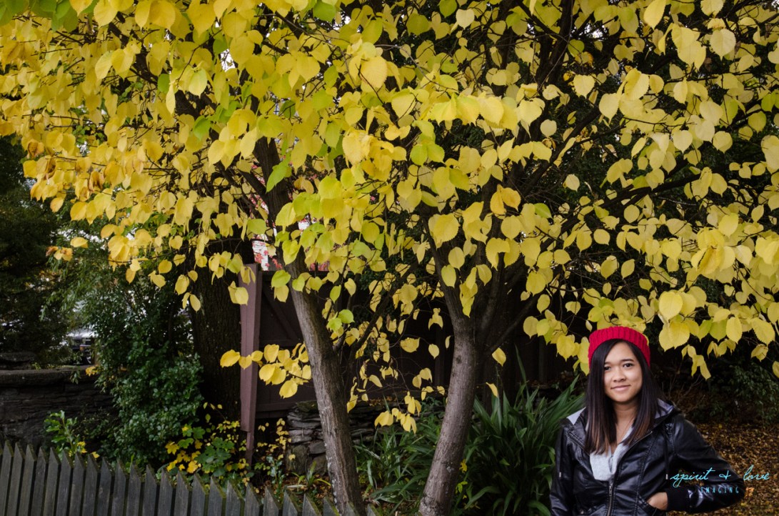 Queenstown-New-Zealand-2015-87