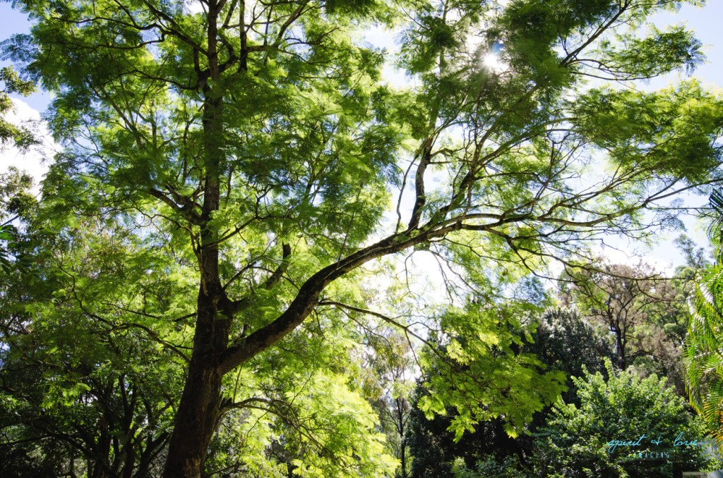 Ty-&-Maxine-~-Ceremony-87