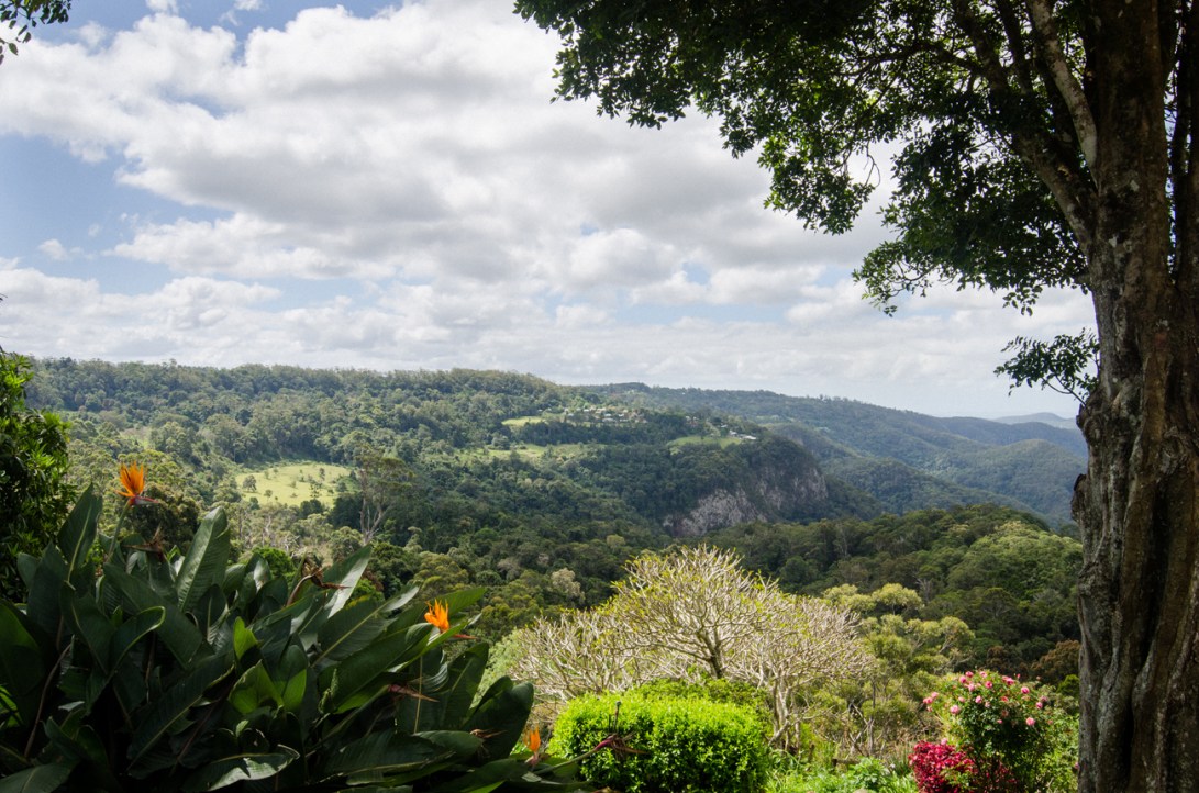 Aaron-+-Jaclyn-Wedding---Ceremony-7