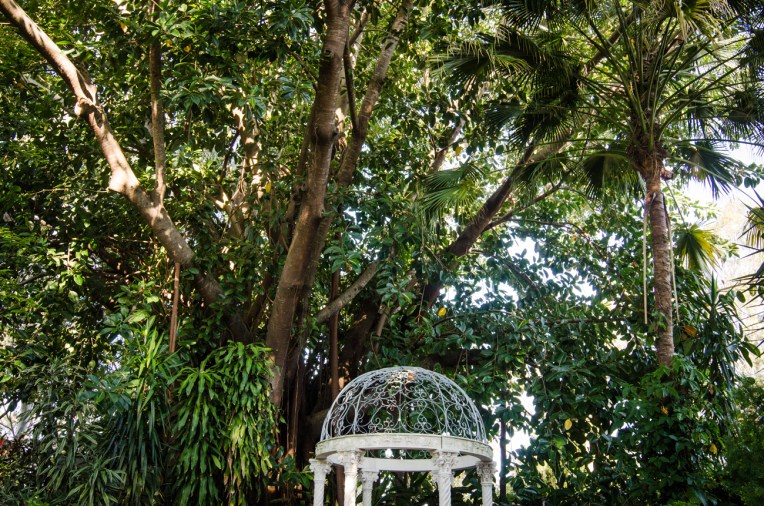 Andrew-+-Amanda-Wedding---Ceremony-7