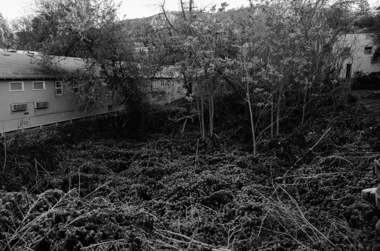 Travel America 2015 - B&amp;W-50