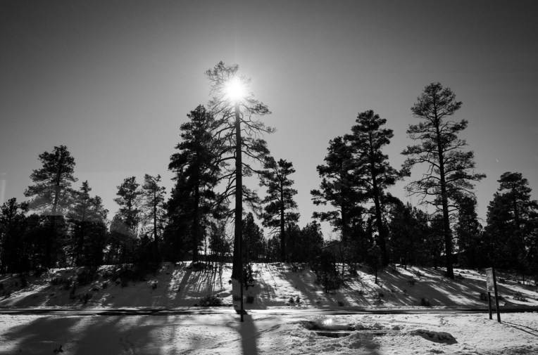 Travel America 2015 - B&amp;W-59