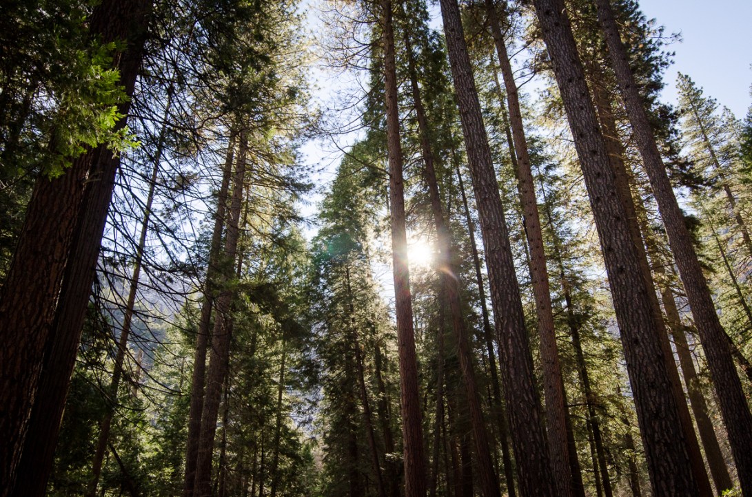 Travel December 2015 - USA_-109