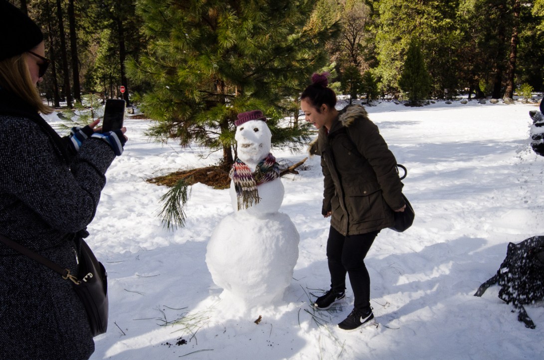 Travel December 2015 - USA_-119