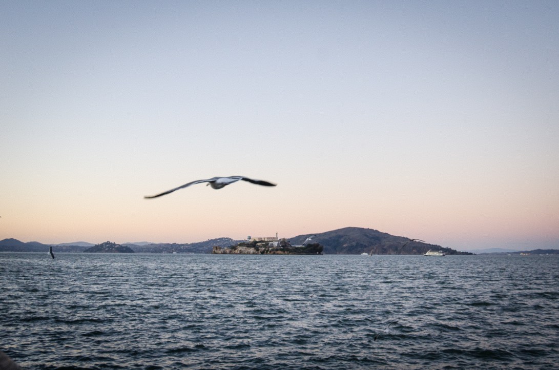 Travel December 2015 - USA_-156