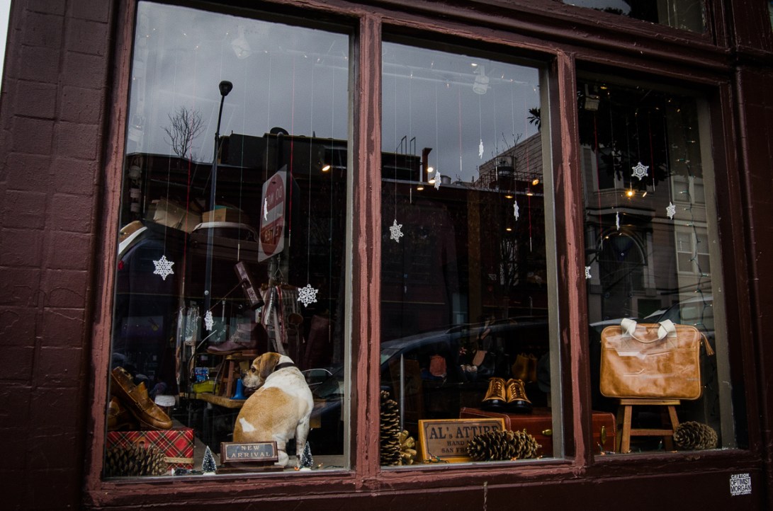 Travel December 2015 - USA_-175