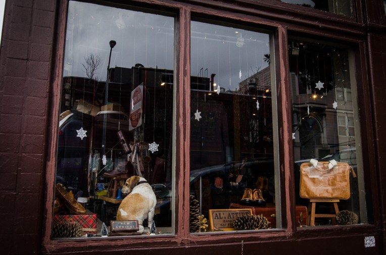 Travel December 2015 - USA_-175