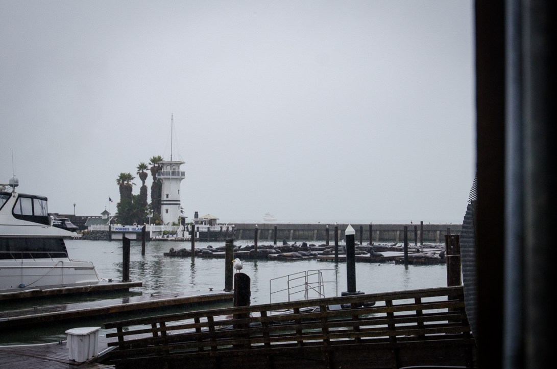 Travel December 2015 - USA_-182