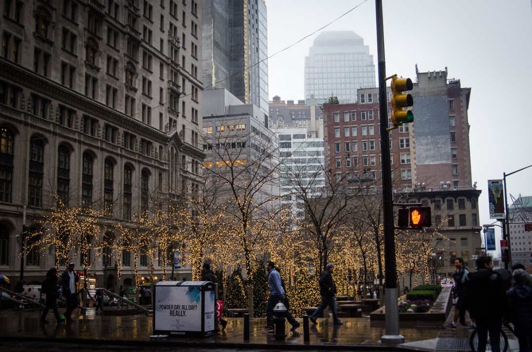 Travel December 2015 - USA_-214