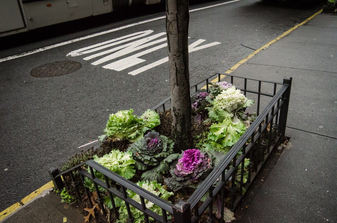 Travel December 2015 - USA_-222