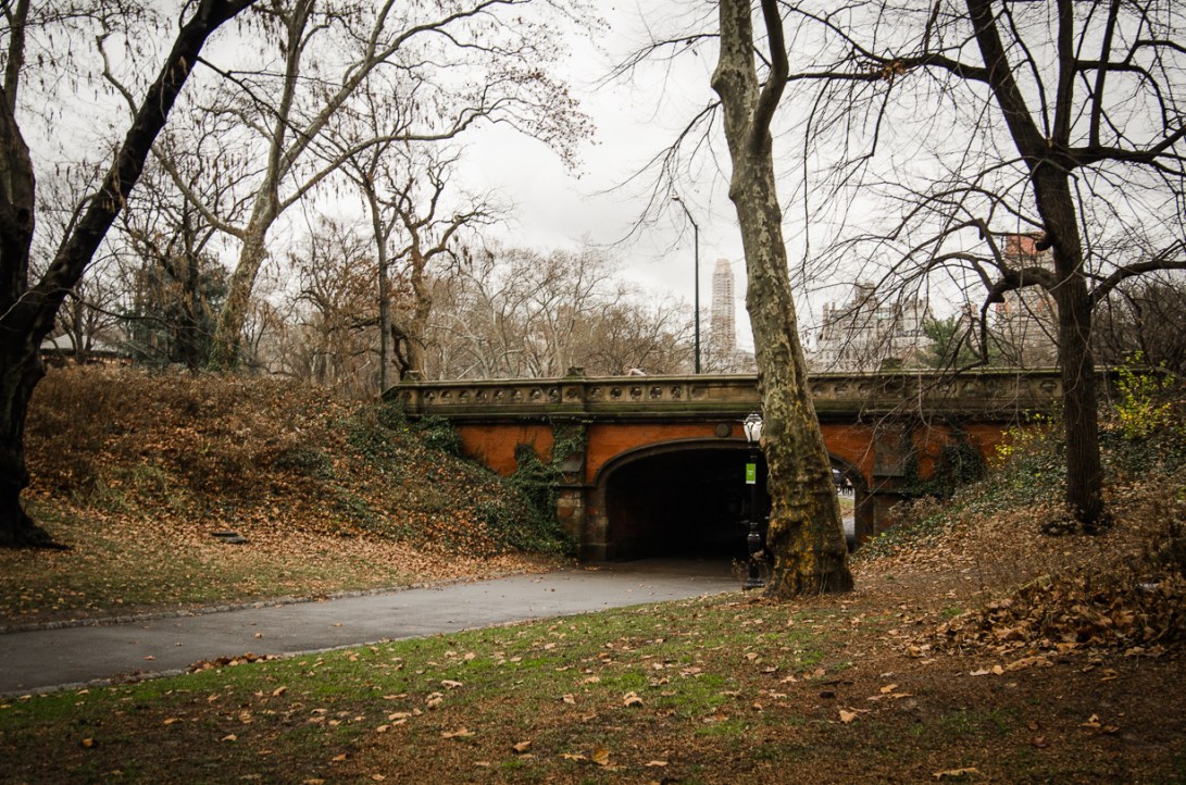 Travel December 2015 - USA_-253