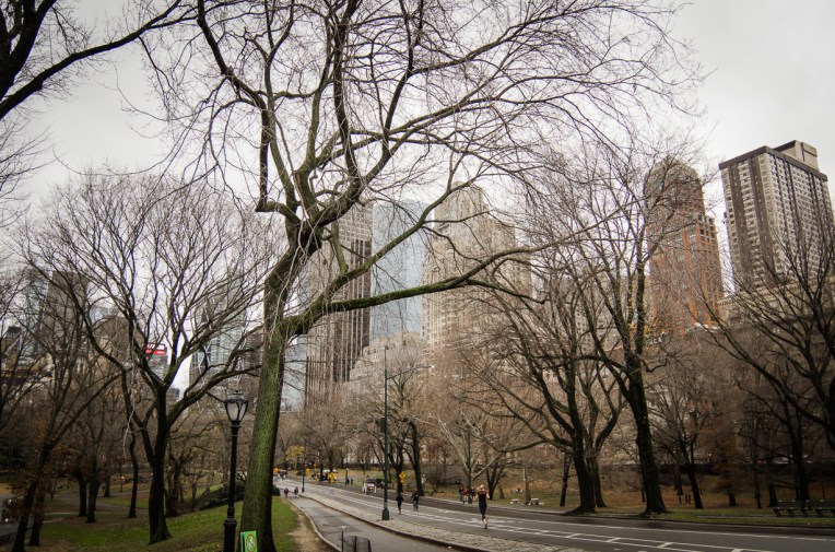 Travel December 2015 - USA_-258