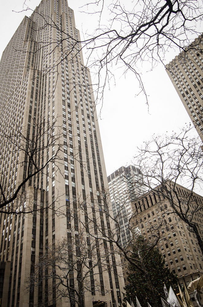 Travel December 2015 - USA_-265