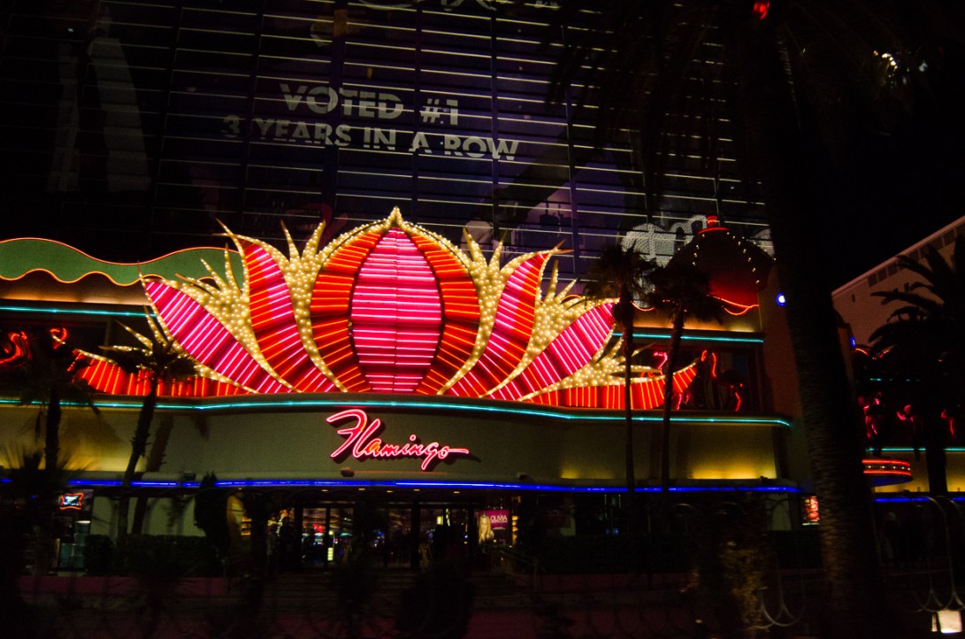 Travel December 2015 - USA_-60