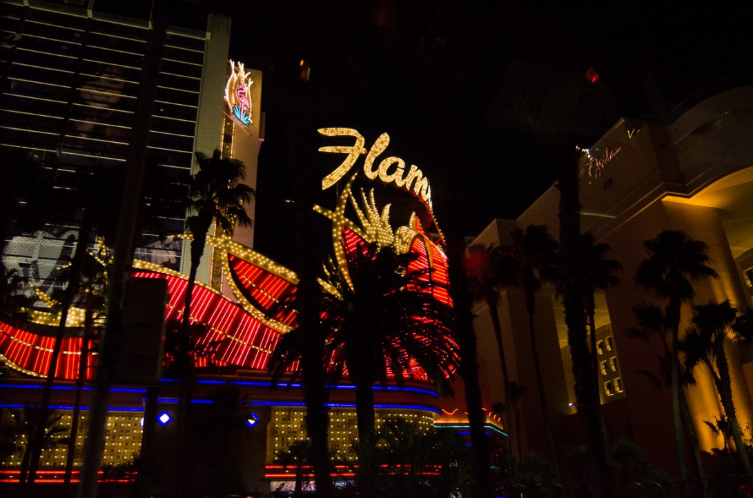 Travel December 2015 - USA_-61