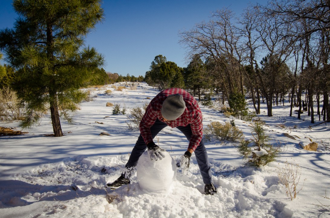 Travel December 2015 - USA_-73