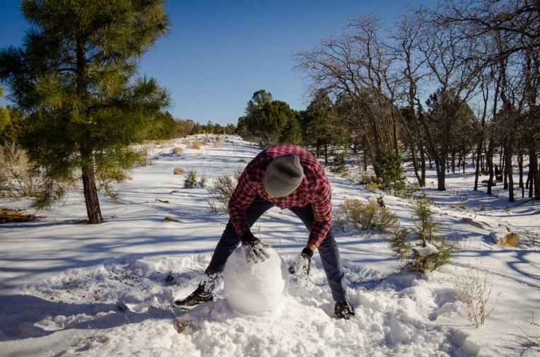 Travel December 2015 - USA_-73