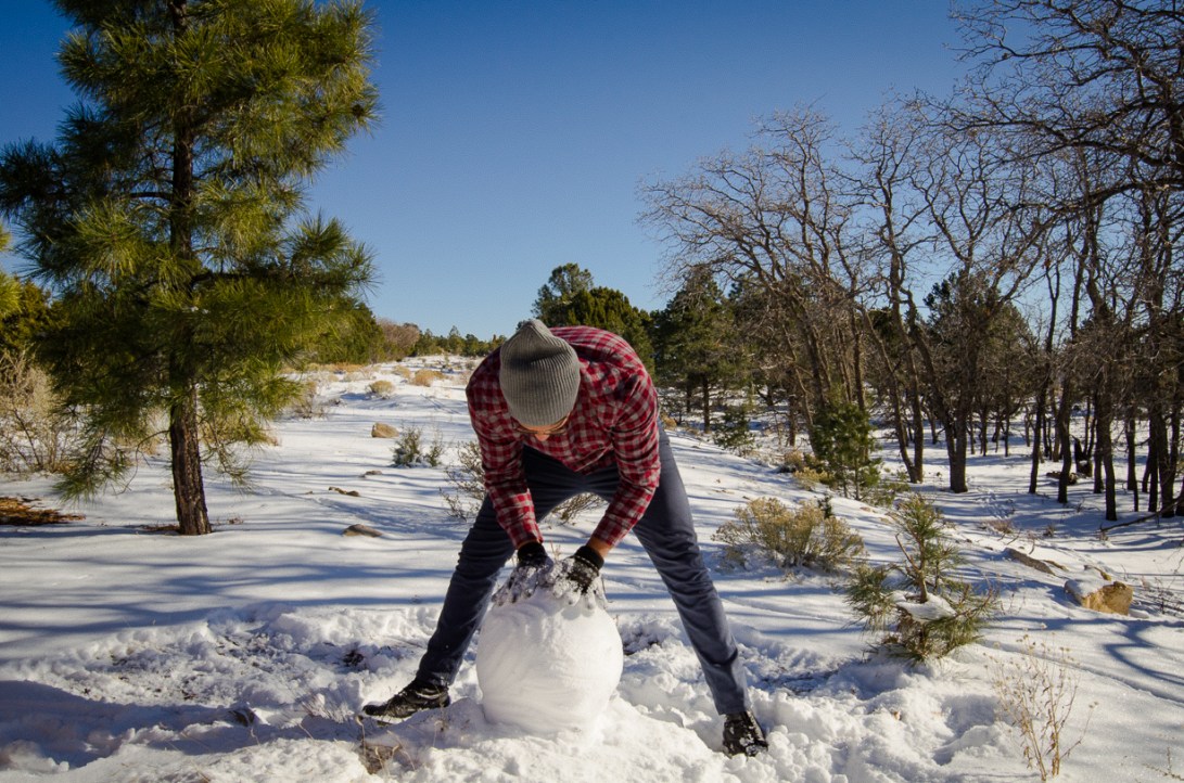 Travel December 2015 - USA_-74