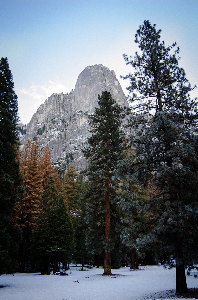 Travel December 2015 - USA_-95