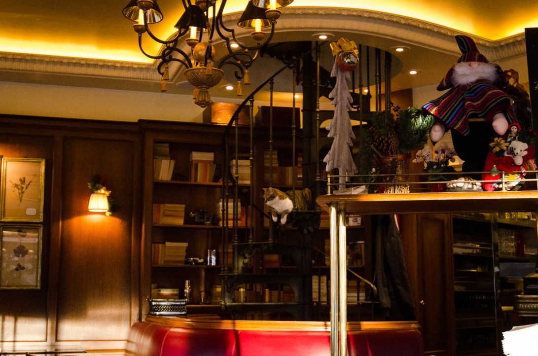 Travel January 2016 - Europe_-15