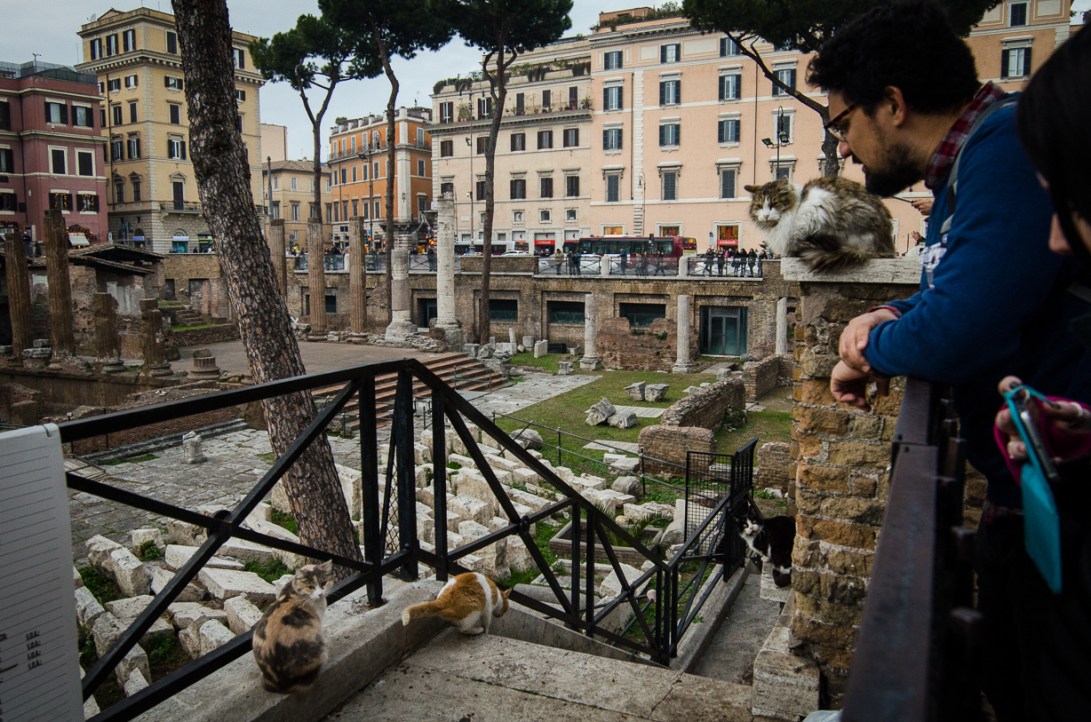 Travel January 2016 - Europe_-155